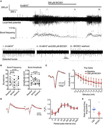 BICS01 Mediates Reversible Anti-seizure Effects in Brain Slice Models of Epilepsy